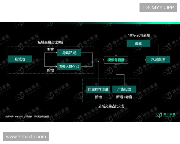 奥尔莫破局顶级防守体系的进攻能力解析