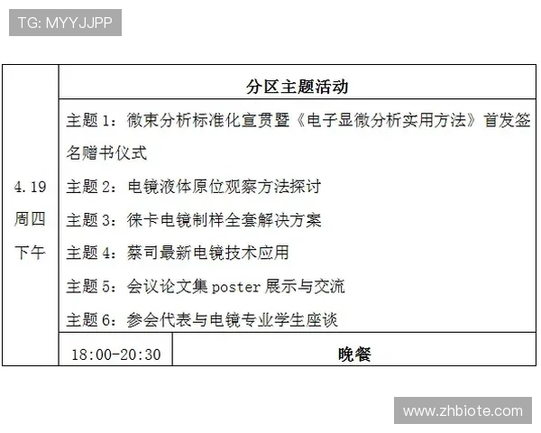 全面剖析教练技术犯规规则的具体判定标准